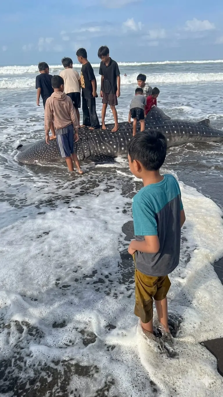Pagi di Galur: Rahasia Pantai Pagubugan yang Tak Terlupakan